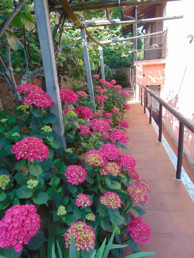 Casa Roberto B&B Savona Kültér fotó